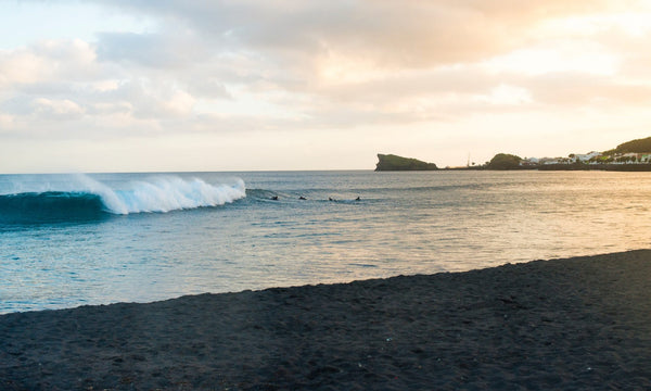 SURF | The Last Paradise