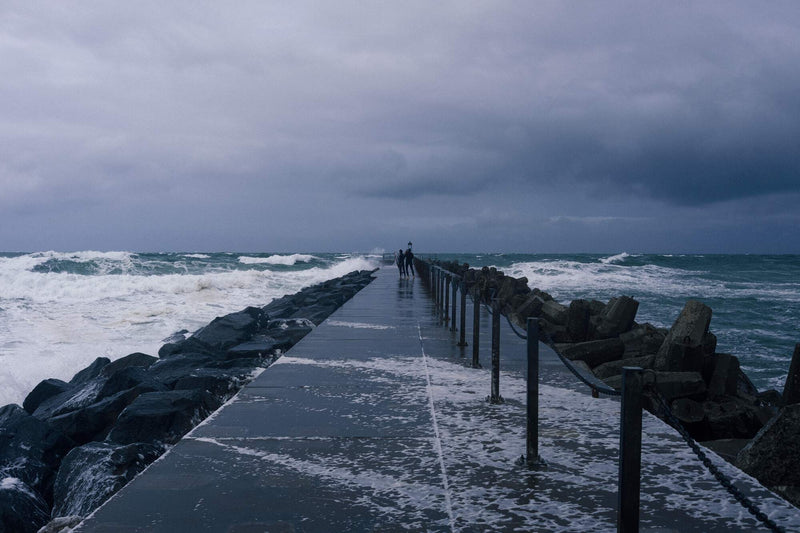 Cold Water Surf Experience 2026 // DANMARK