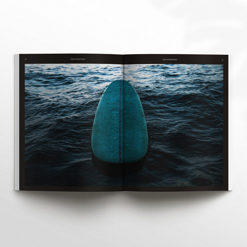Waves & Woods Issue #34 (PDF VERSION)