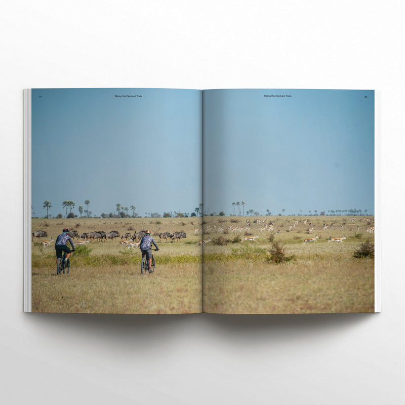 Waves & Woods Issue #42