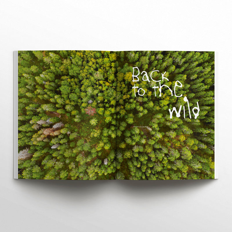 Waves & Woods Issue #42