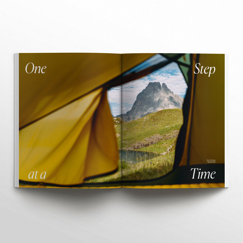 Waves & Woods Issue #43