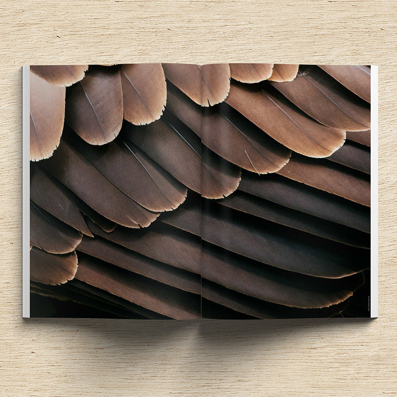Waves & Woods Issue #12 (PDF VERSION)