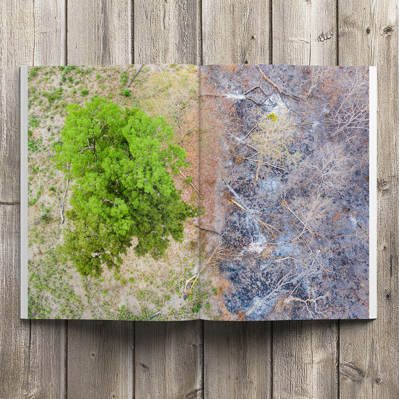 Waves & Woods Issue #24 (PDF VERSION)