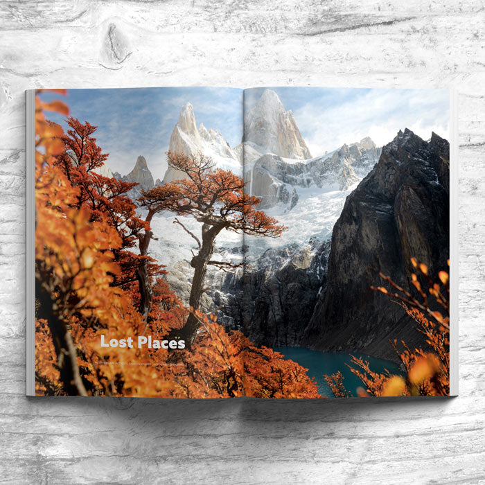 Waves & Woods Issue #10