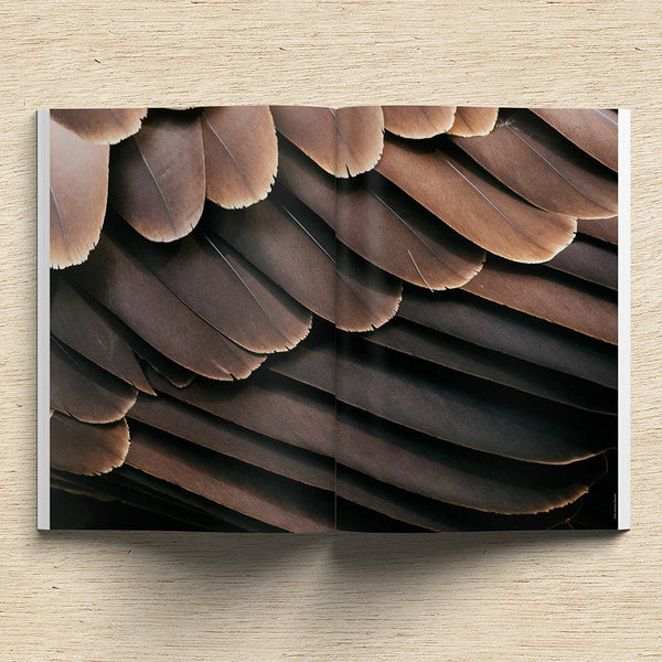 Waves & Woods Issue #12