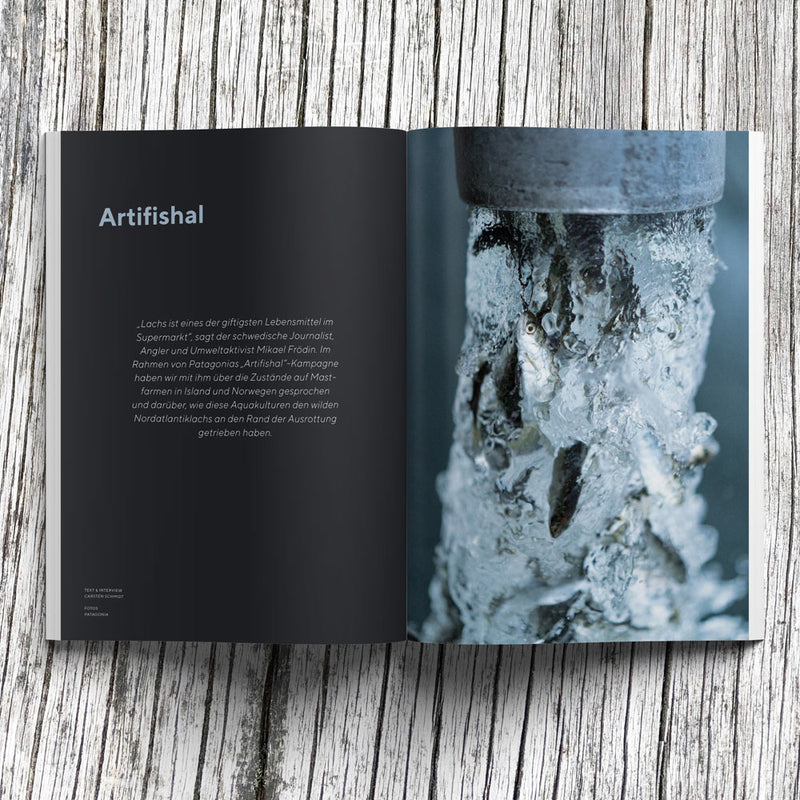 Waves & Woods Issue #13