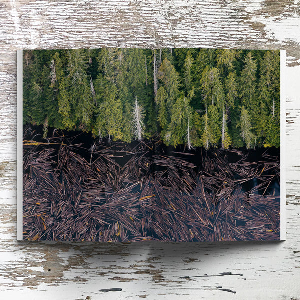 Waves & Woods Issue #14