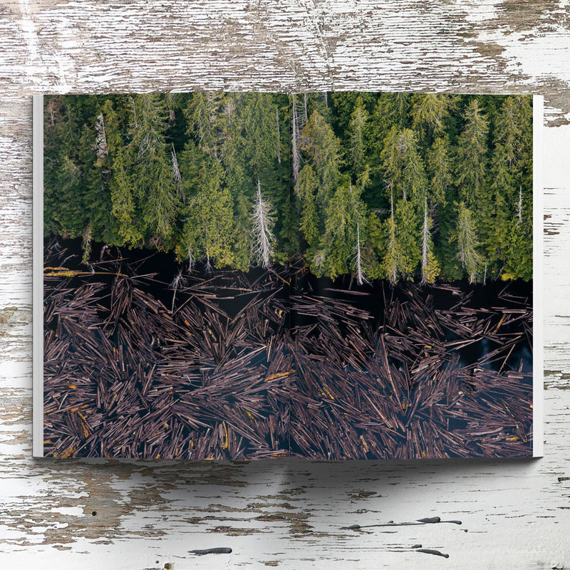Waves & Woods Issue #14