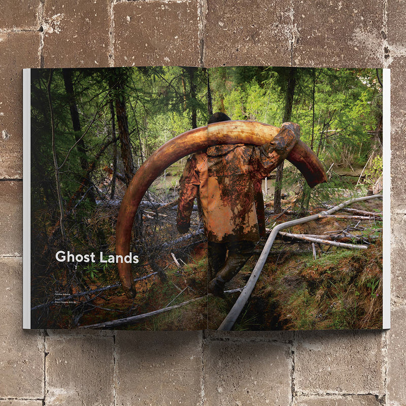 Waves & Woods Issue #16