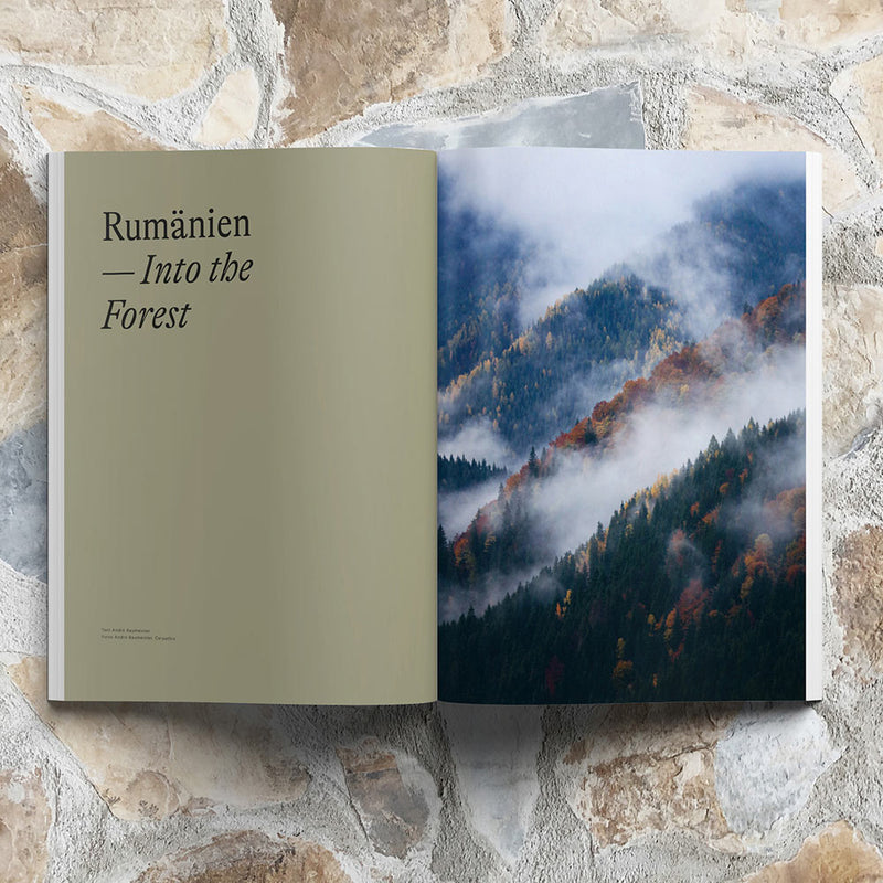 Waves & Woods Issue #26