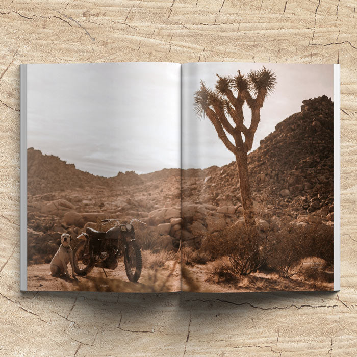 Waves & Woods Issue #07