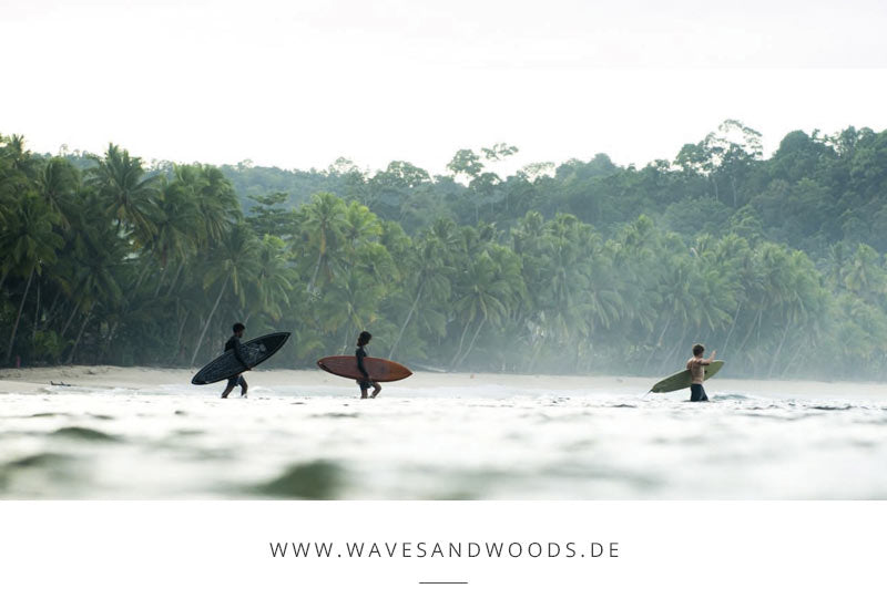 Waves & Woods Issue #01