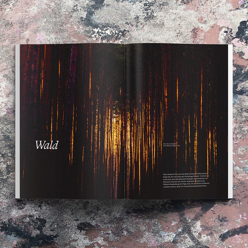 Waves & Woods Issue #27